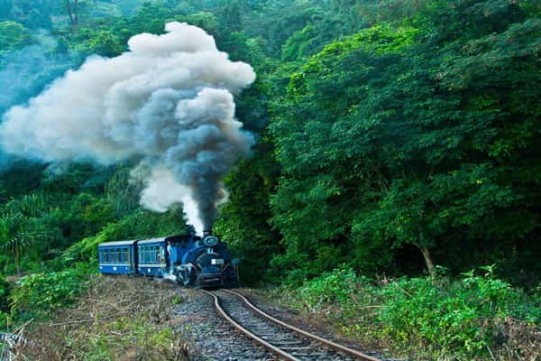 Toy Train Darjeeling